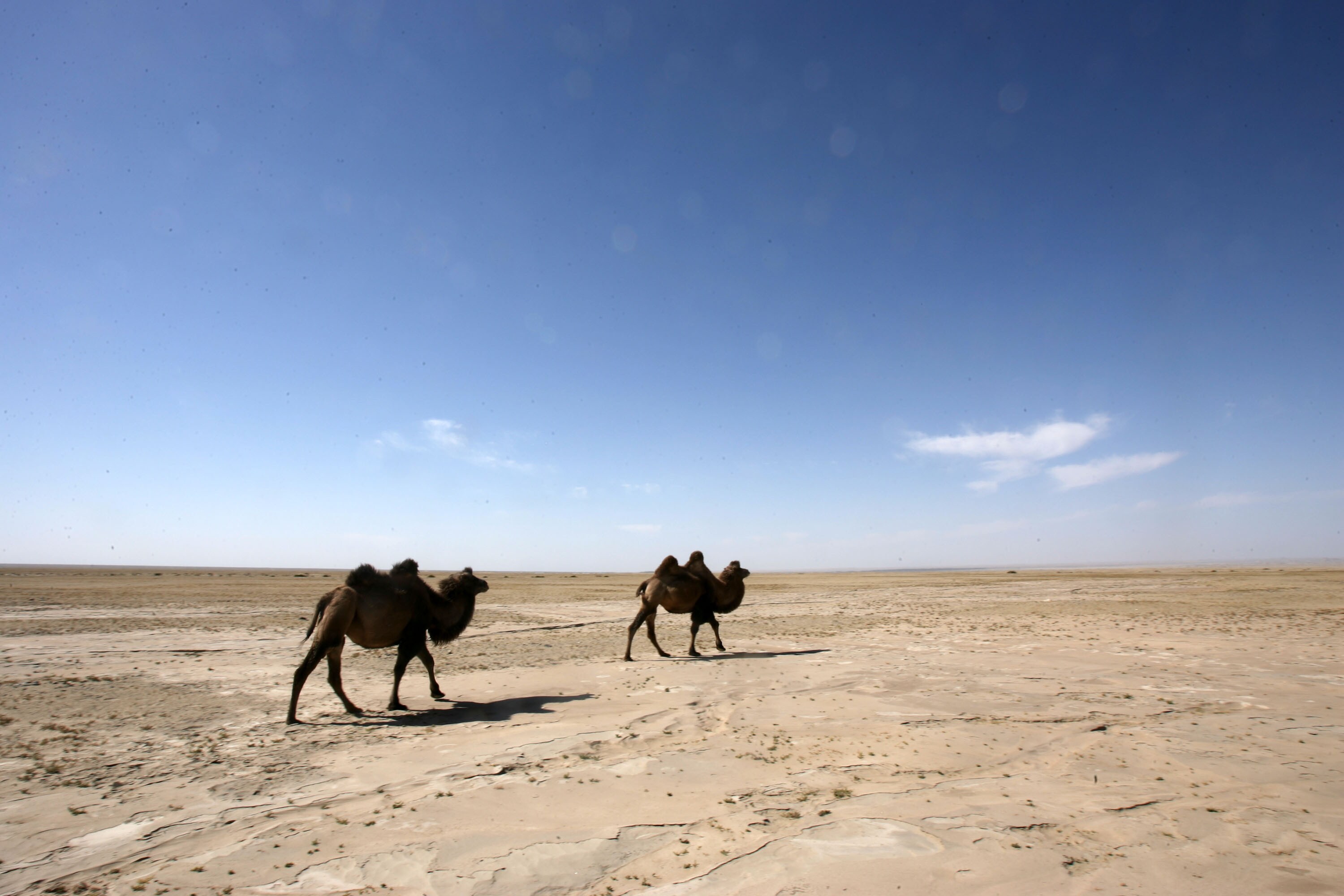 China Mulls 1,000-Km Tunnel To Carry Brahmaputra Water From Tibet To Xinjiang