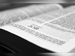 बिना परीक्षा सरकारी नौकरी पाने का मौका, ये पोर्टल बना युवाओं की नई उम्मीद