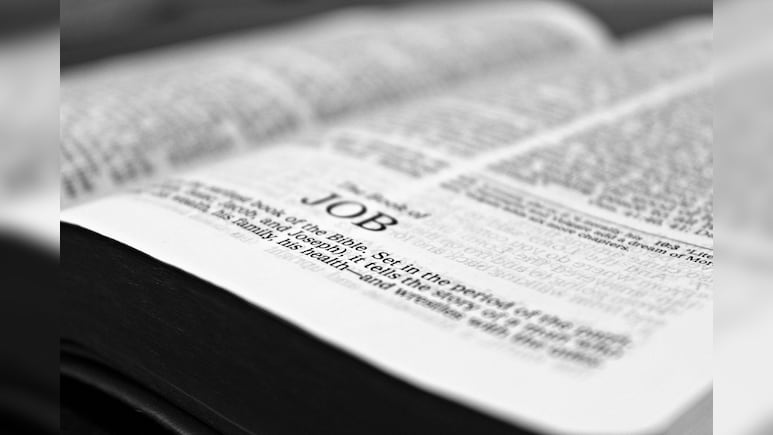 बिना परीक्षा सरकारी नौकरी पाने का मौका, ये पोर्टल बना युवाओं की नई उम्मीद