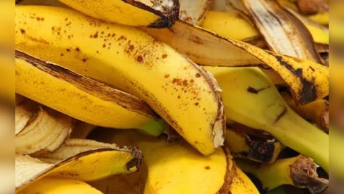 केला खाकर छिलका फेंकने की गलती न करें, ये भी सेहत के लिए है वरदान&nbsp;