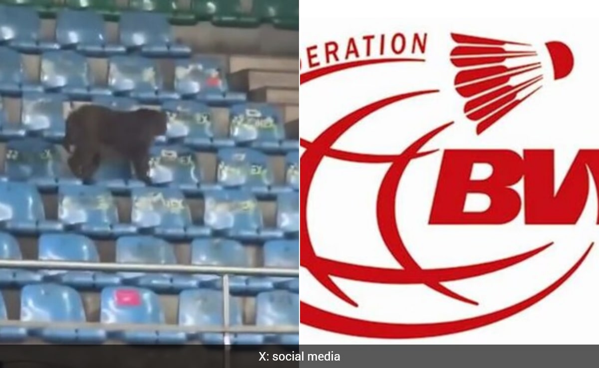 आईजी स्पोर्ट्स कॉम्पलेक्स विश्व चैंपियनशिप के लिए फिट, विवादों के बीच BWF ने दिखाई हरी झंडी