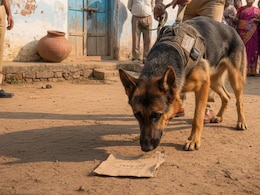 How A Scrap Of Paper, Sniffer Dog Cracked A 70-Year-Old's Murder In Madhya Pradesh