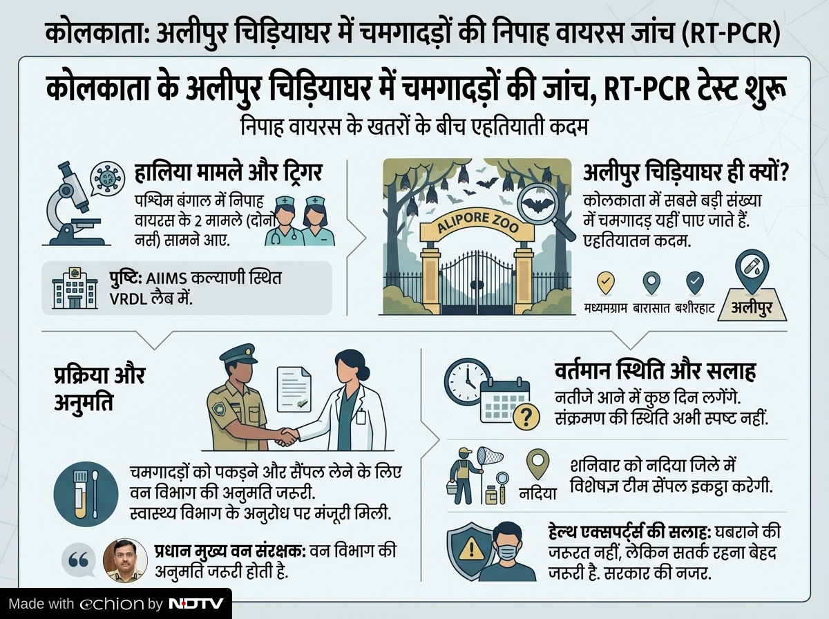 Latest and Breaking News on NDTV