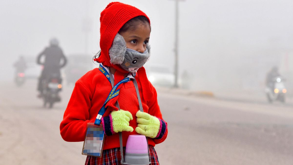 20 जनवरी को यूपी के इस जिले में बंद हैं स्कूल, जानें क्या है दिल्ली-एनसीआर समेत बाकी राज्यों का अपडेट