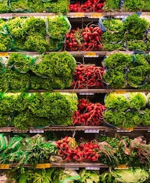 5 Vegetables That Are Rich In Folic Acid