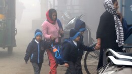 Schools Closed: शीतलहर का कहर, 10 जनवरी तक स्कूल बंद; एमपी के 3 जिलों में कक्षा 8वीं तक की छुट्टियां