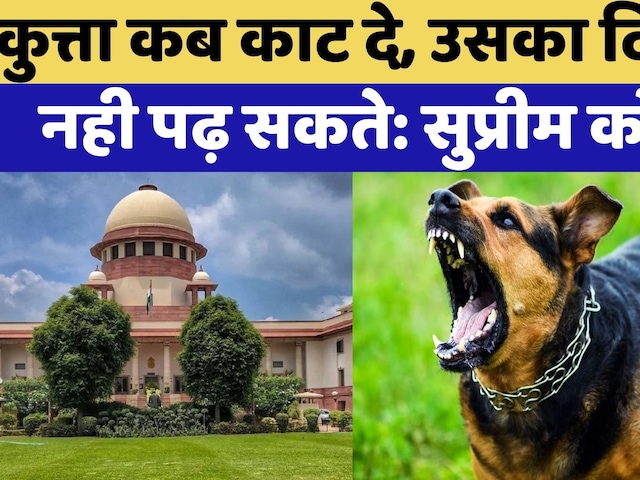Supreme Court में आज Street Dog मामले की फिर से सुनवाई  | Rajasthan Top News | Dog Bite Cases