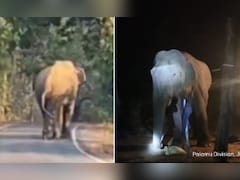 वो 30 किमी की रफ्तार से आगे बढ़ रहा है, 22 लोगों को मार चुका है- झारखंड में हाथी का आतंक