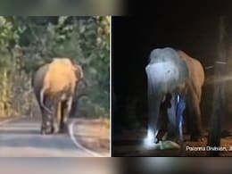 वो 30 किमी की रफ्तार से आगे बढ़ रहा है, 22 लोगों को मार चुका है- झारखंड में हाथी का आतंक