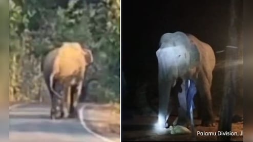वो 30 किमी की रफ्तार से आगे बढ़ रहा है, 22 लोगों को मार चुका है- झारखंड में हाथी का आतंक