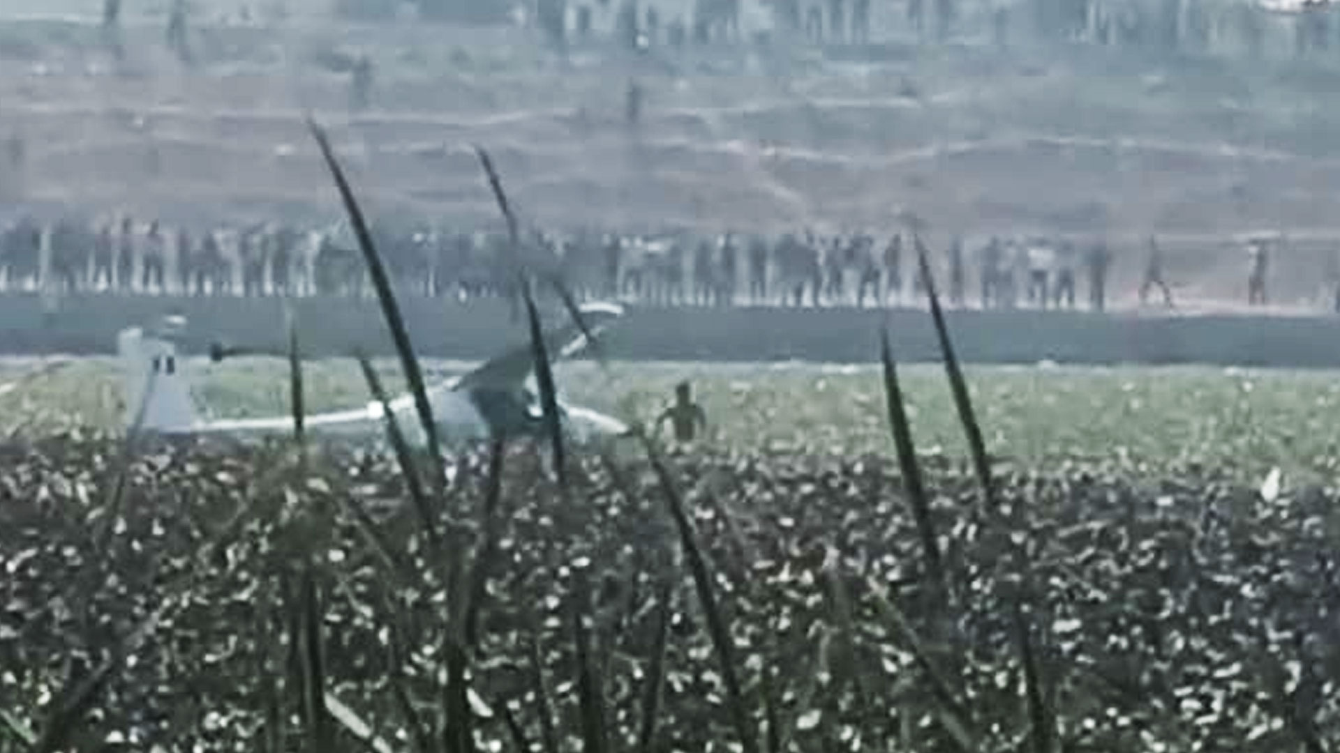 Video: Small Aircraft Crashes Into Pond In UP's Prayagraj