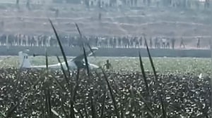Video: Small Aircraft Crashes Into Pond In UP's Prayagraj