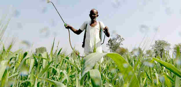 Fertilizer Shares Slump On Price Cuts, Coromandel International Worst Hit