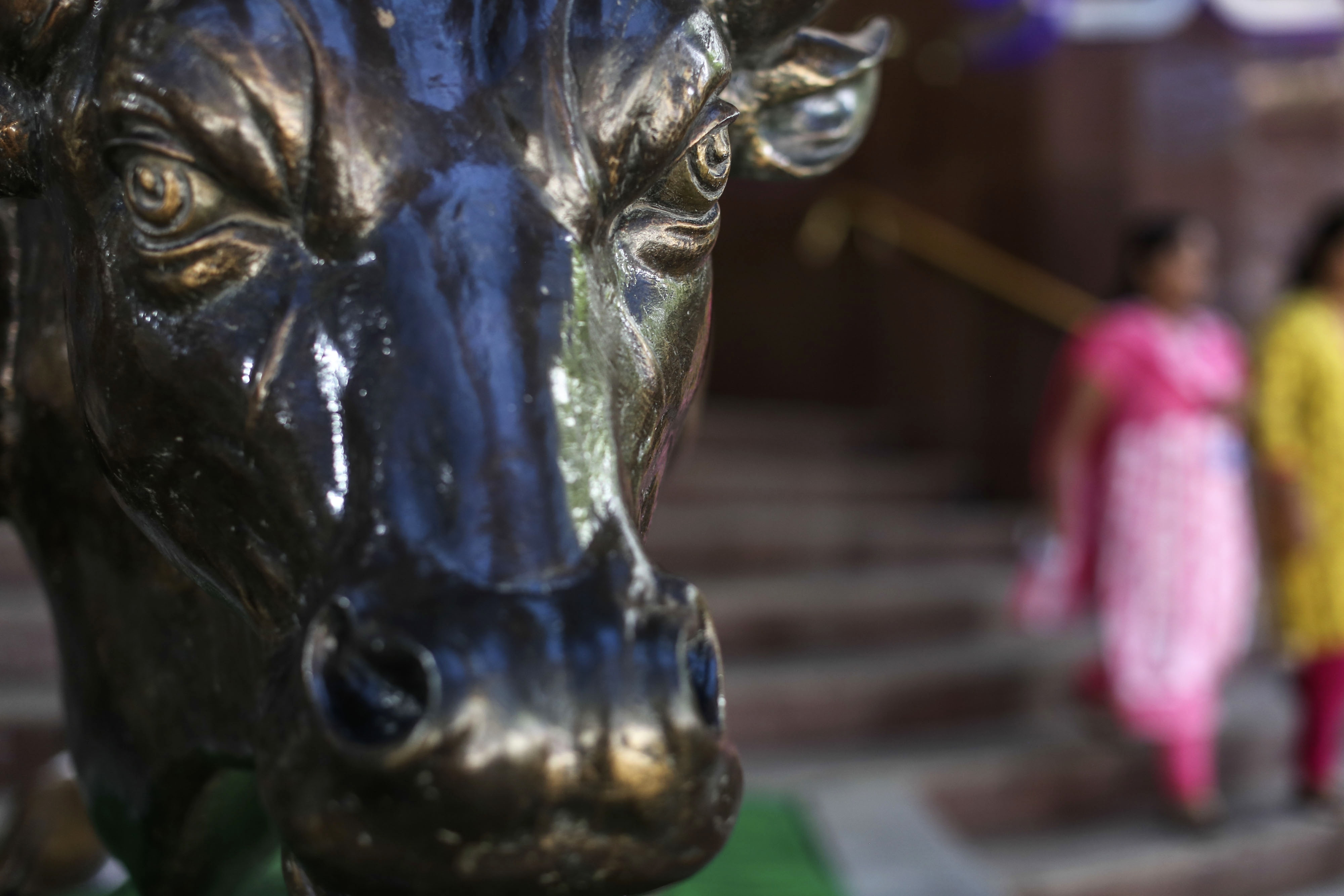 Sensex, Nifty Halt Losing Streak On U.S. Election Optimism; Lupin Leads Drugmakers Higher