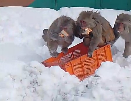 Latest and Breaking News on NDTV Latest and Breaking News on NDTV