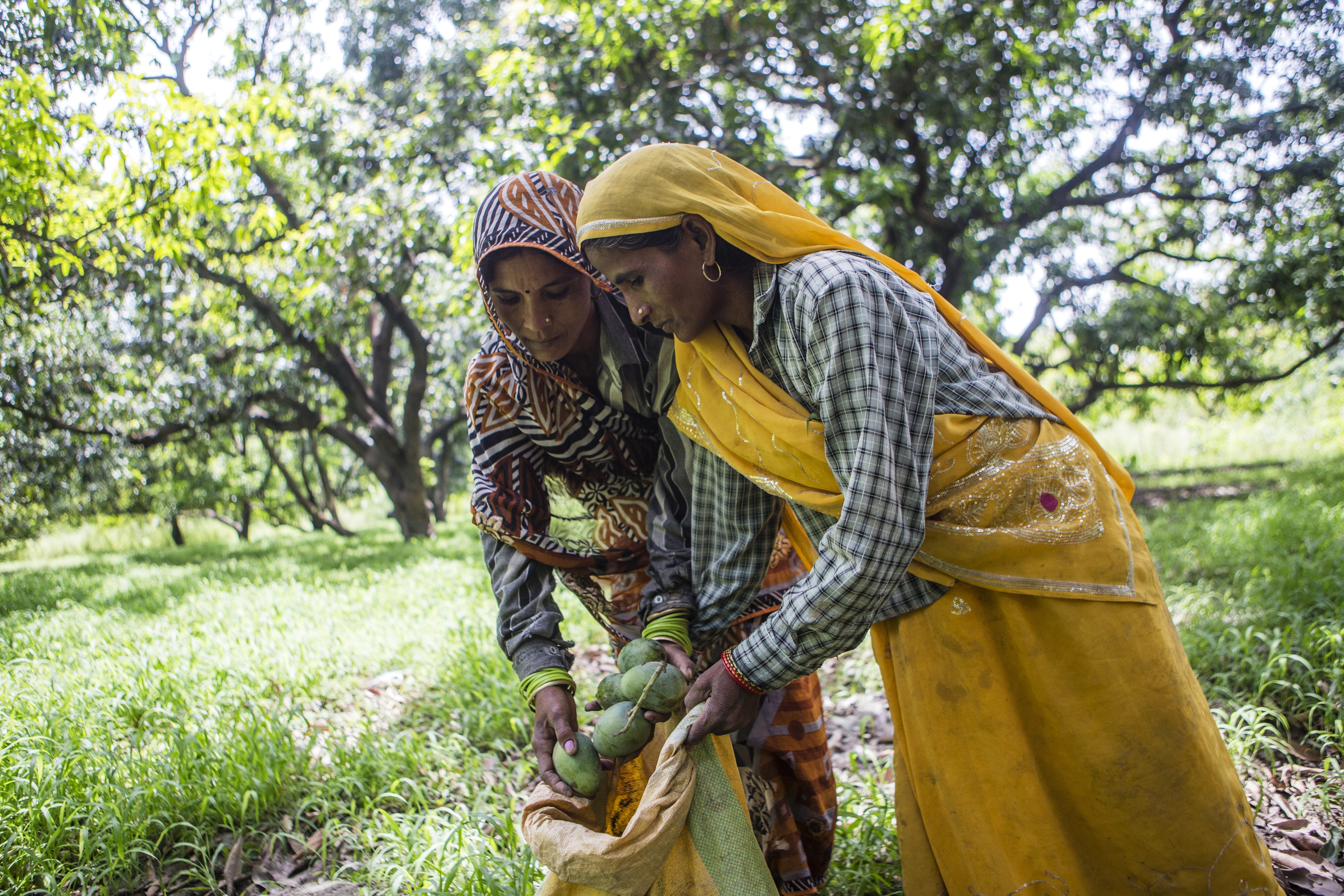 No Impact On NPAs Due To Farm Loan Waivers By States, Says Urjit Patel