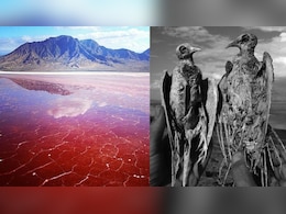 Lake Natron, The Red Lake In Tanzania That Turns Living Things Into Stone