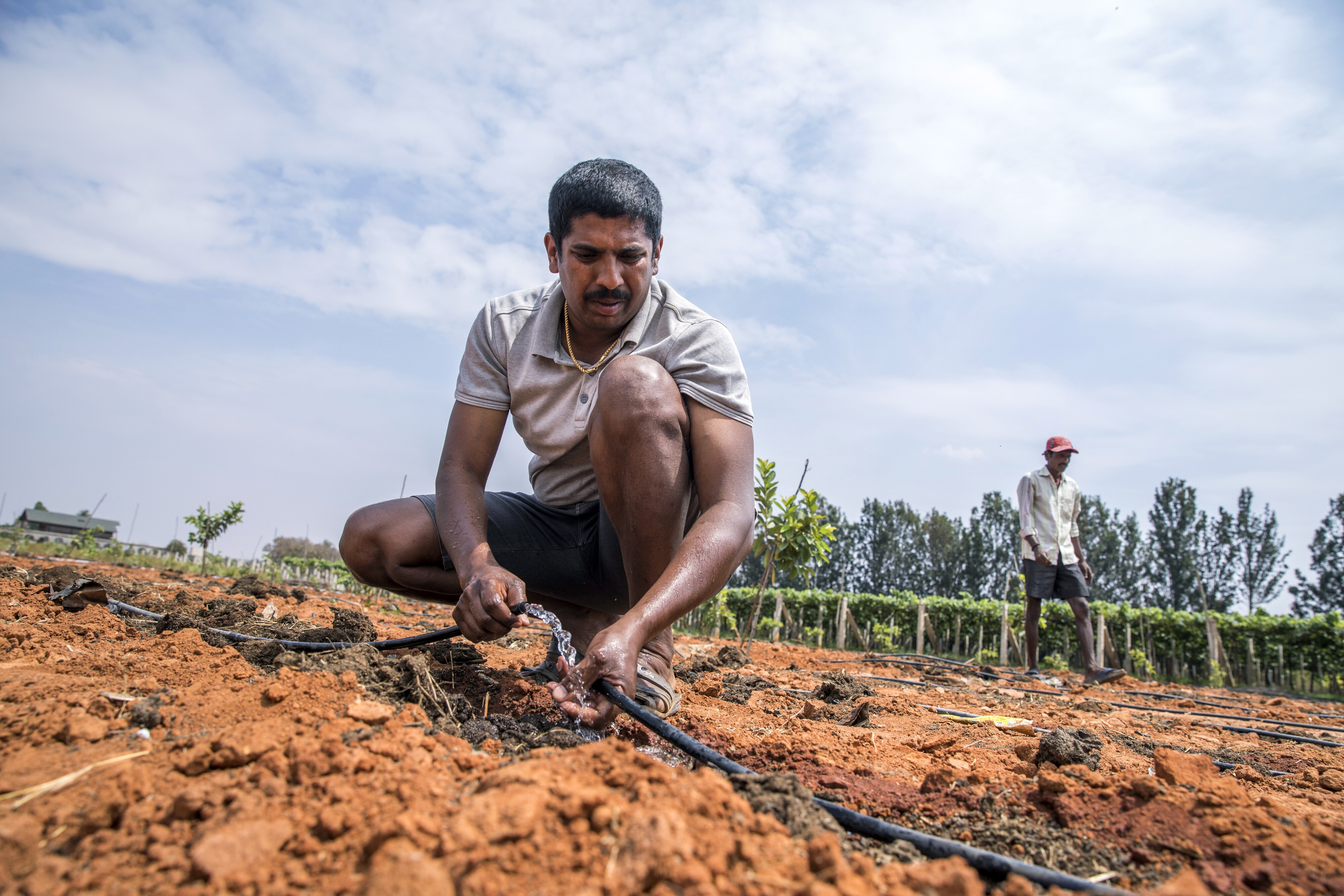 Some Fiscal Space Available For Income Transfer To Farmers, Says Neelkanth Mishra