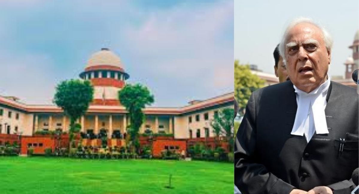 आवारा कुत्तों पर सुनवाई के दौरान ऐसा क्या हुआ कि सुप्रीम कोर्ट ने कपिल सिब्बल को सुना दिया?