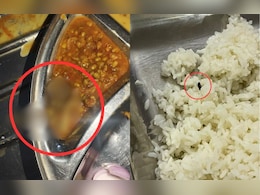 मेस के खाने में मेंढक और कीड़े-मकोड़े! डेंटल कॉलेज में गंभीर लापरवाही, रसोई में दिखा गंदगी का आलम