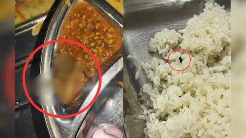 मेस के खाने में मेंढक और कीड़े-मकोड़े! डेंटल कॉलेज में गंभीर लापरवाही, रसोई में दिखा गंदगी का आलम