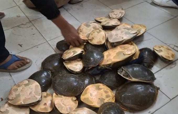 Latest and Breaking News on NDTV