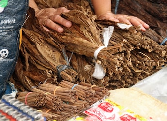 World's 90% Health Burden Of Chewing Tobacco Concentrated In 10 Countries, Including India: Study