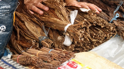 Odisha Bans All Tobacco-Nicotine Products Including Gutkha, Pan Masala