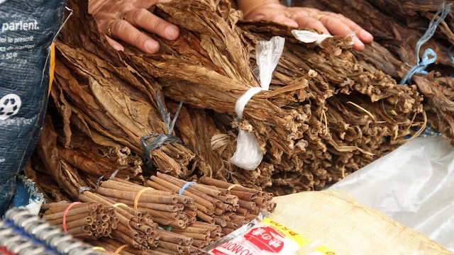 South Asia had the highest concentration of chewing tobacco use