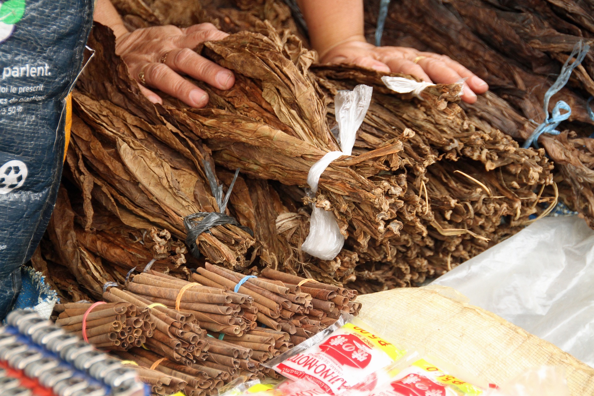 South Asia had the highest concentration of chewing tobacco use