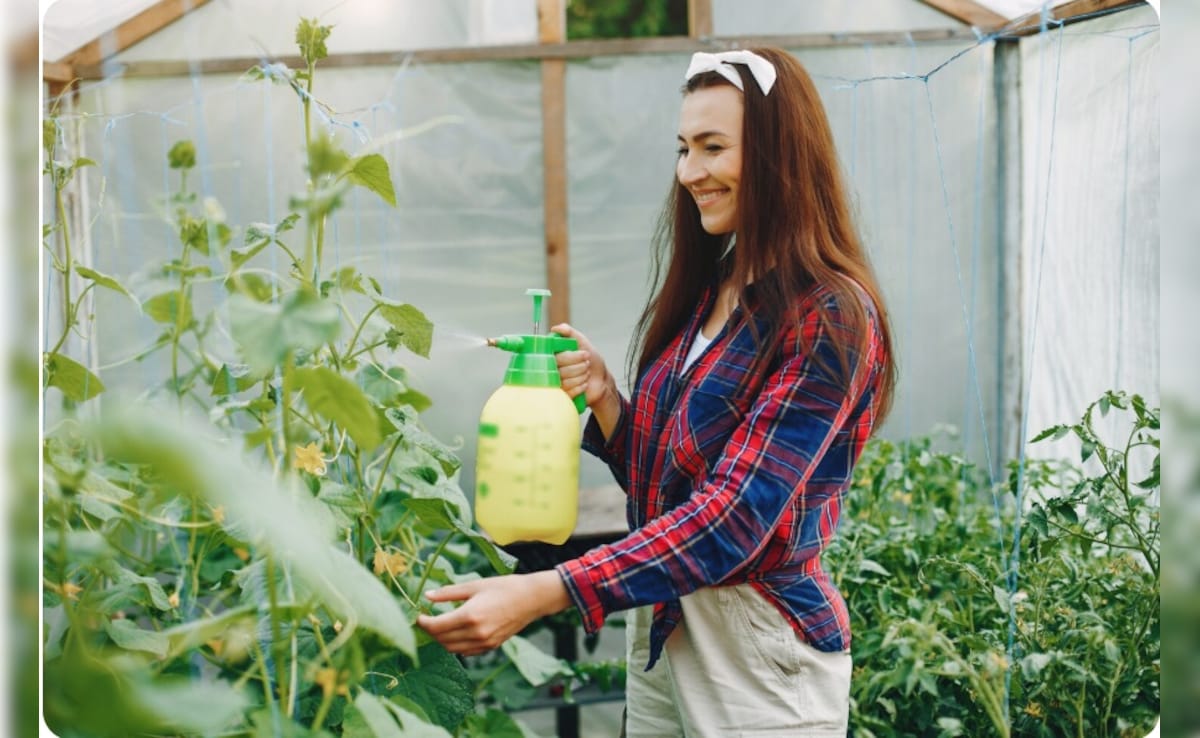 Latest and Breaking News on NDTV