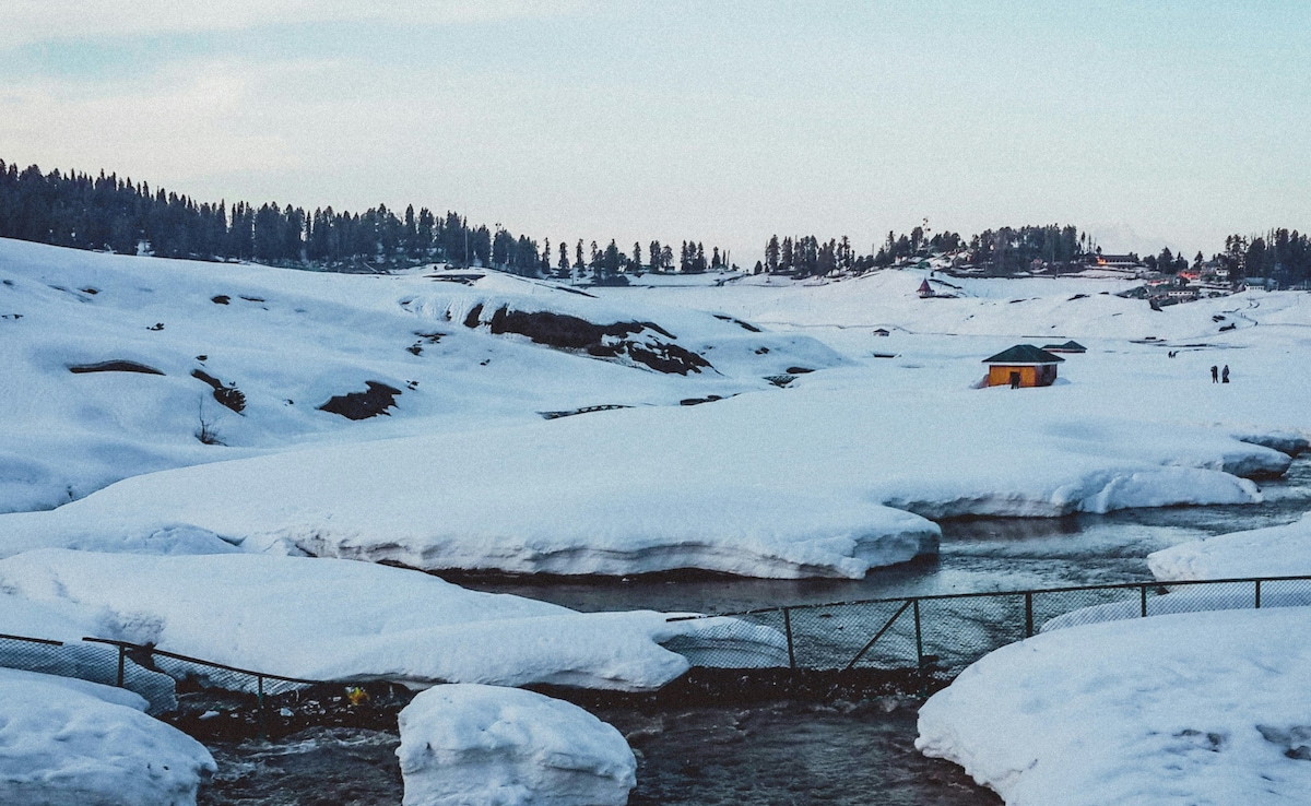 Latest and Breaking News on NDTV