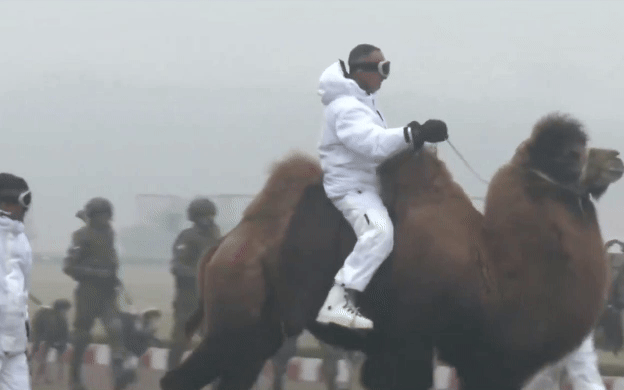 दिल्ली में 26 जनवरी की परेड में आ रहा ऐसा जानवर, जो करेगा हैरान, देखिए