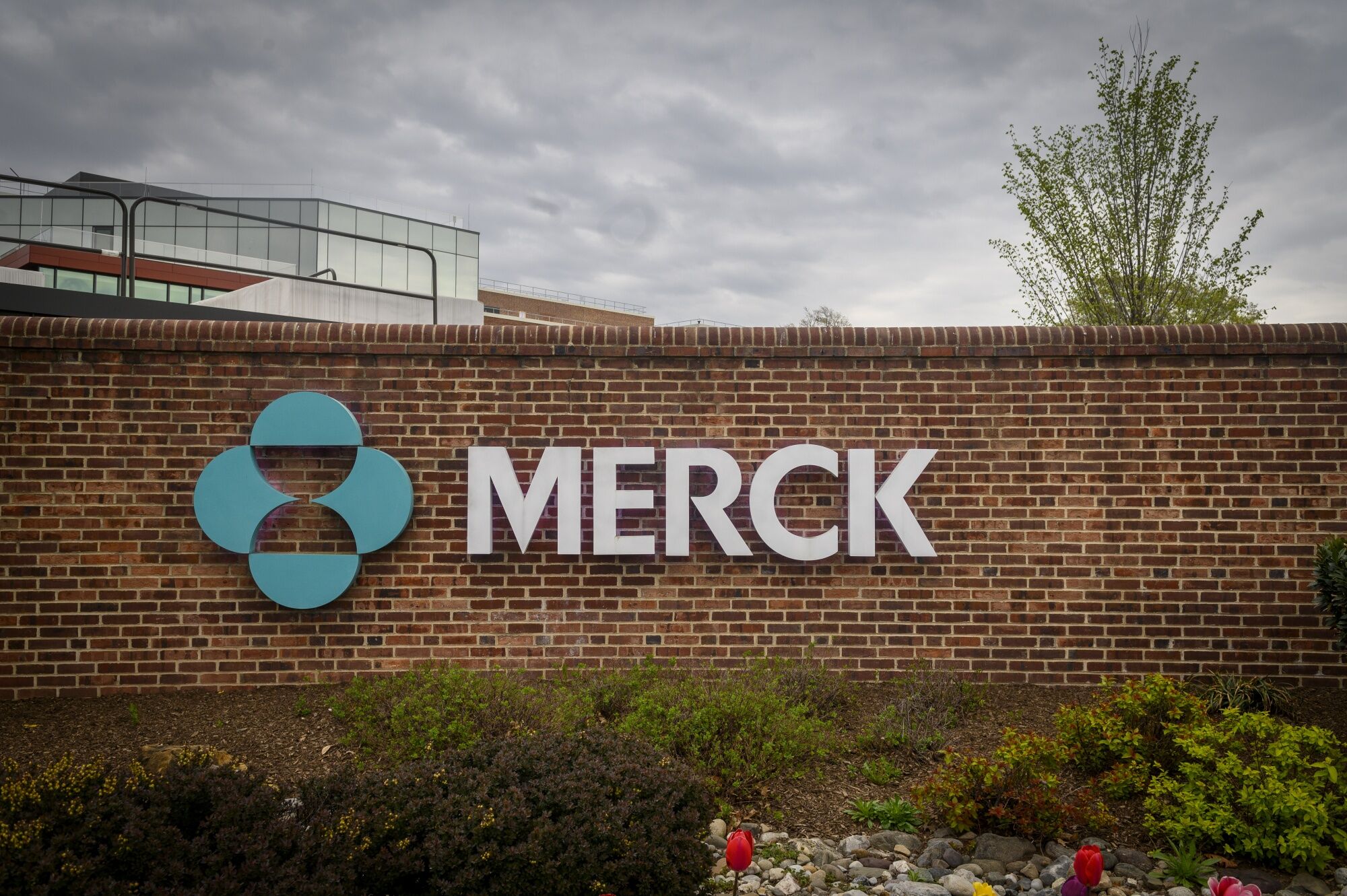 Merck Looks To Join The Obesity Drug Frenzy