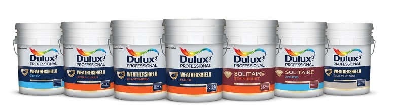 Akzo Nobel India Expects Strong Q3, Q4 Led By Festive Season