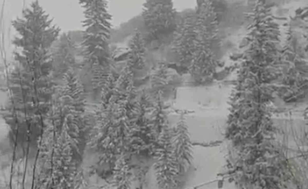 Latest and Breaking News on NDTV