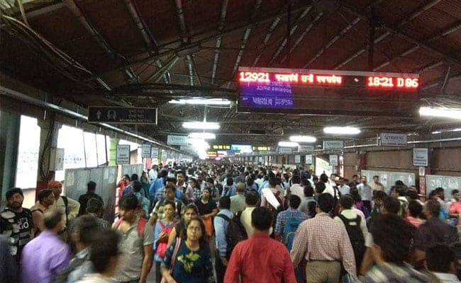 Economy Appears To Have Slowed Down, Says Finance Ministry