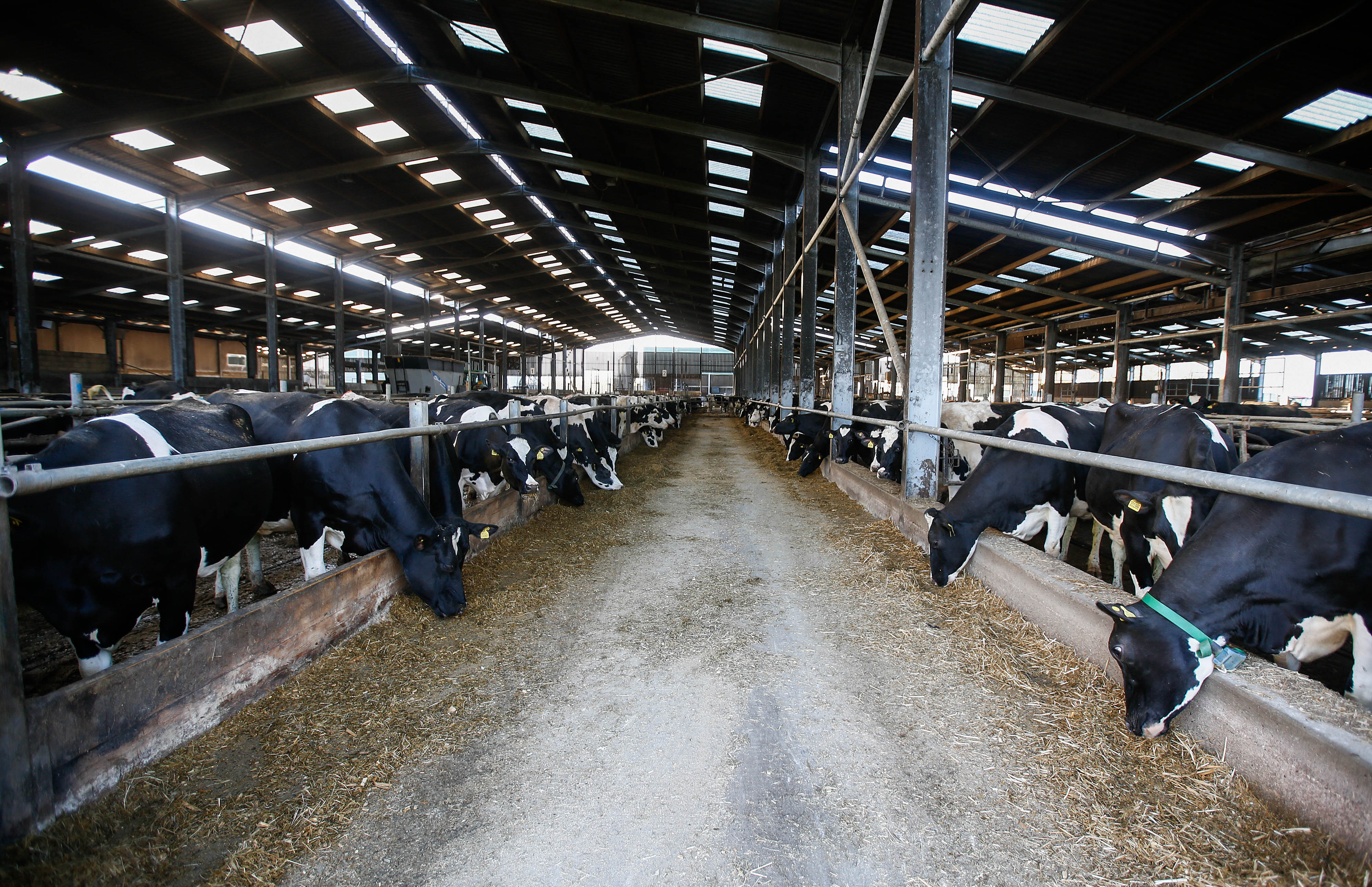 Godrej Agrovet IPO Subscribed 0.53 Times On First Day Of Bidding