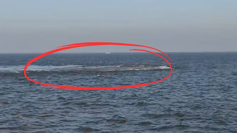 VIDEO: अरबी समुद्रात &lsquo; उकळ्यांचे रिंगण&rsquo;; विचित्र हालचालींमुळे मच्छीमारांमध्ये भीतीचे वातावरण