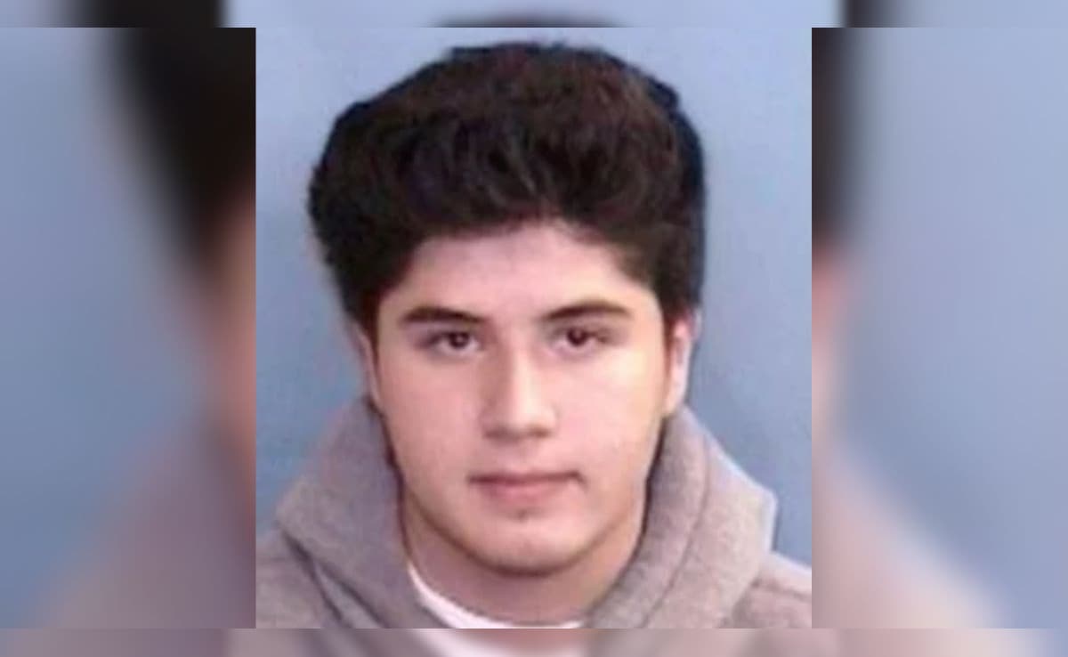 The Art of Baking: From Classic Bread to Artisan Pastries