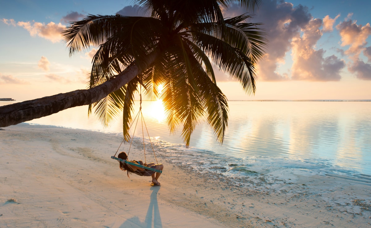 Latest and Breaking News on NDTV Latest and Breaking News on NDTV