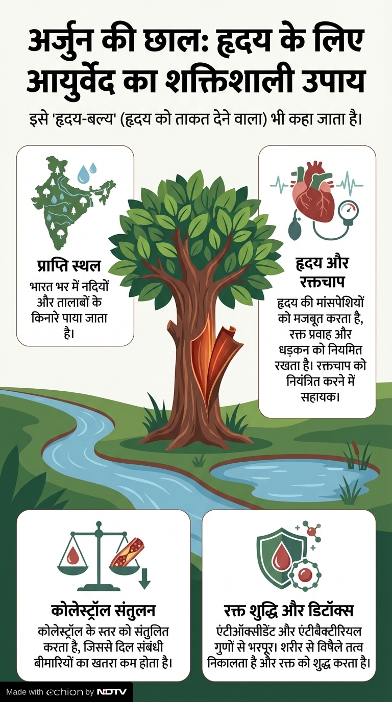 अर्जुन की छाल के फायदे