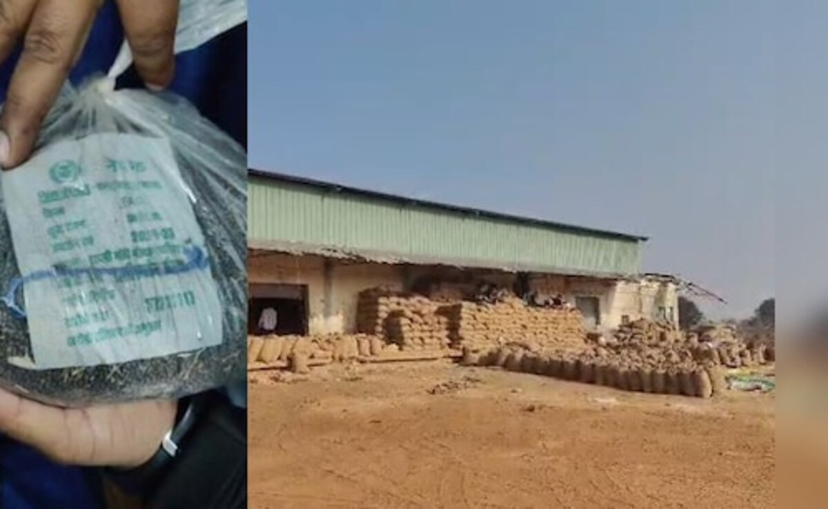 Mustard Scam Uncovered in Madhya Pradesh