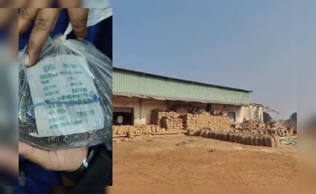 Mustard To Mud: Inspection Reveals MSP Procurement Scam In Madhya Pradesh