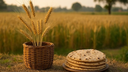 This State Is Known As The 'Bread Basket Of India.' Here's Why