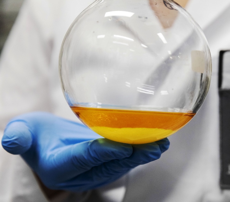 Deepak Nitrite - Metamorphosis: Dolat Capital Initiates Coverage