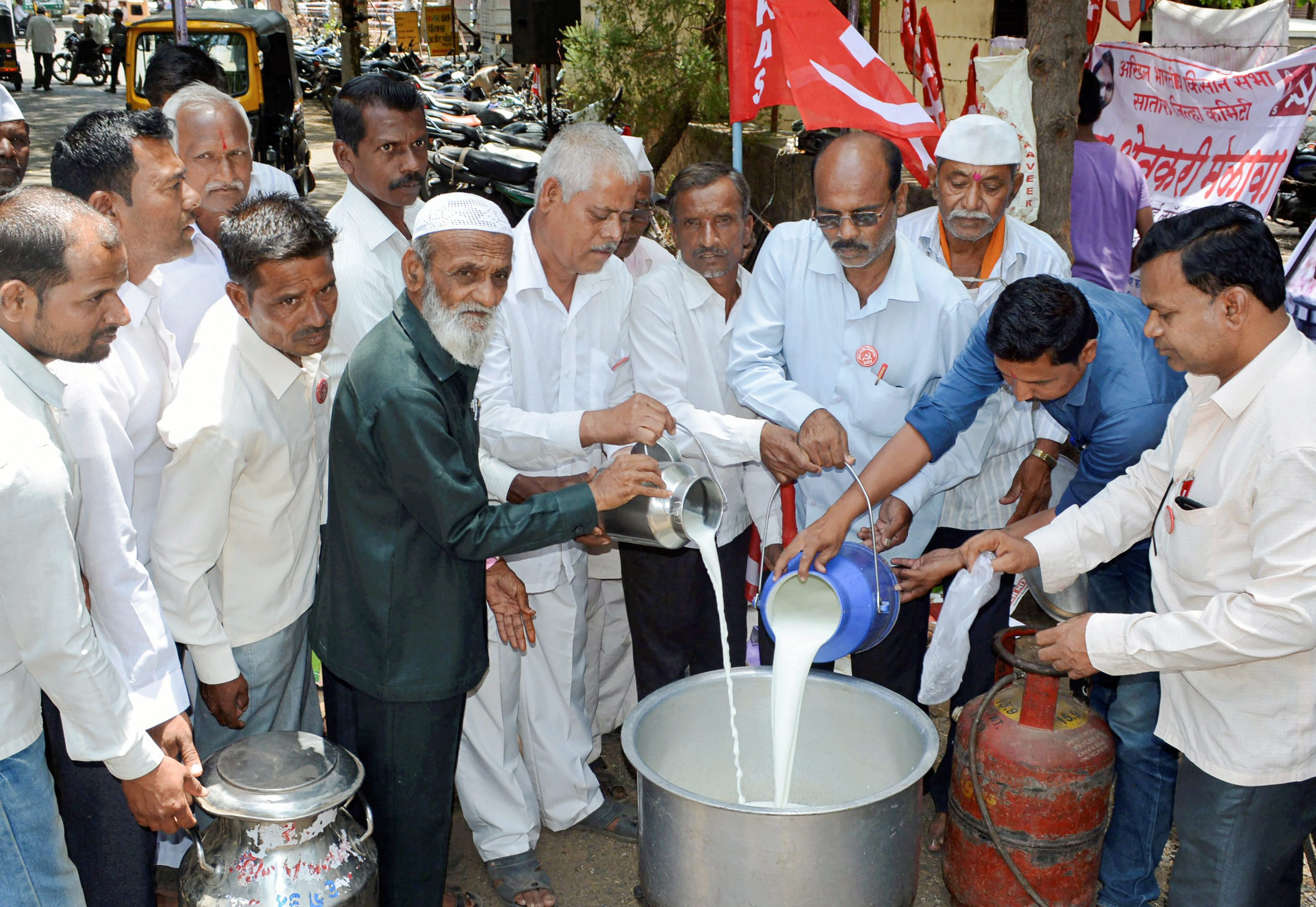 Maharashtra Dairy Farmers Distribute Free Milk To Protest Low Prices