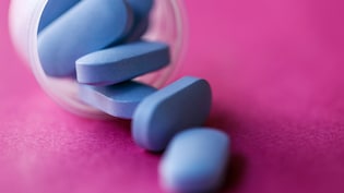 Divi's Labs Shares In Focus: Citi Reaffirms 'Buy' With Rs 11,700 Target On Oral Wegovy Upside