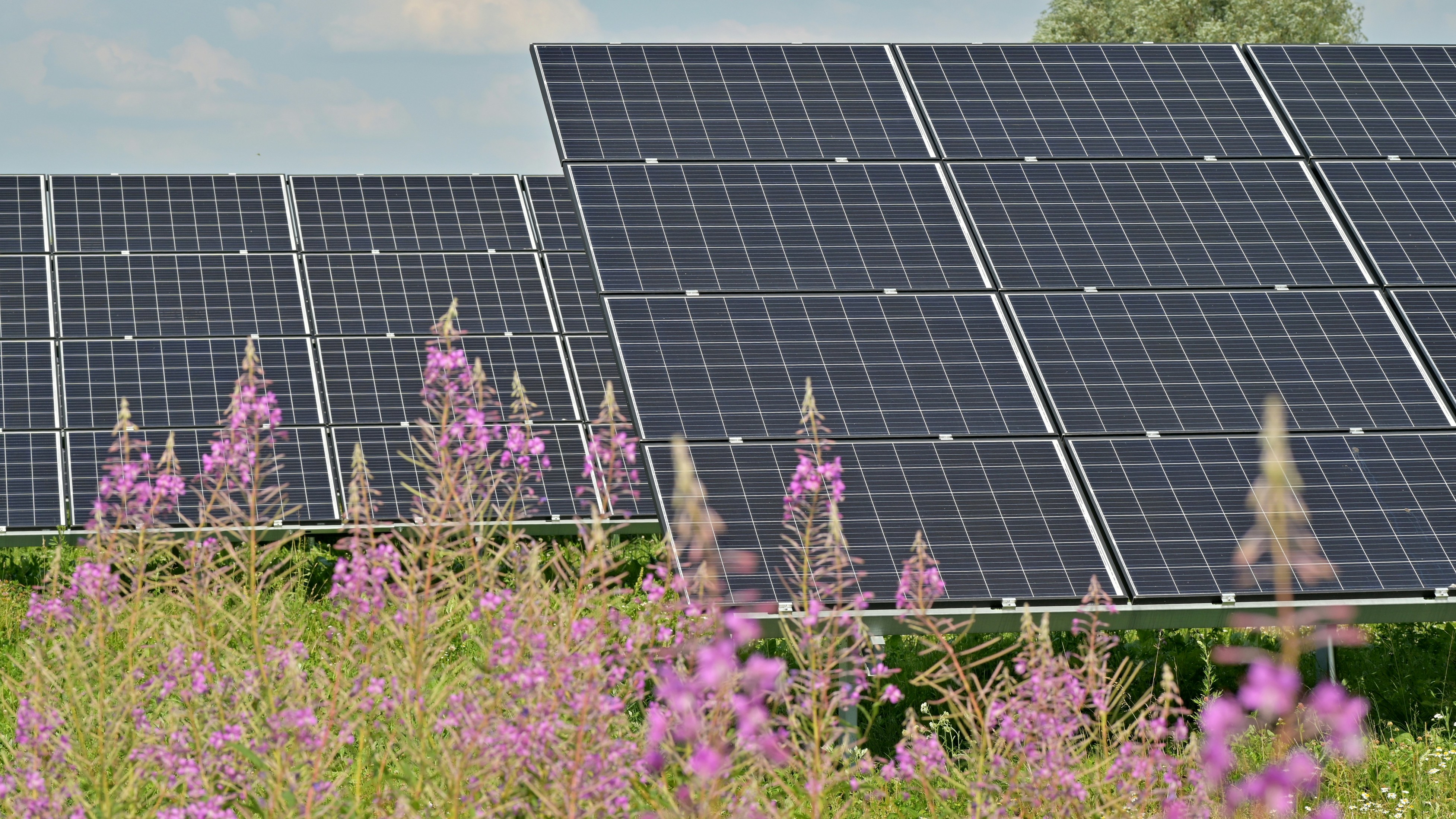 US Commerce Department Initiates Anti-Dumping Probe Into Solar Panel Exports From India, Indonesia, Laos