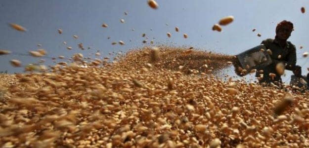 Government Raises Wheat Minimum Support Price By 6% For 2018-19